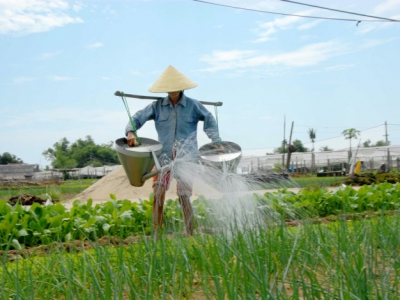  Cam Nam - Tra Que Organic Vegetable Village - An Bang Beach