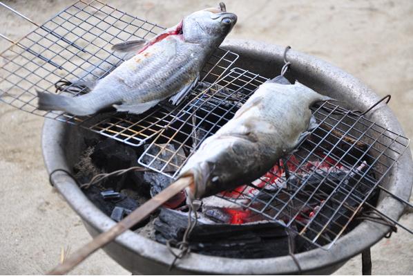 BBQ
