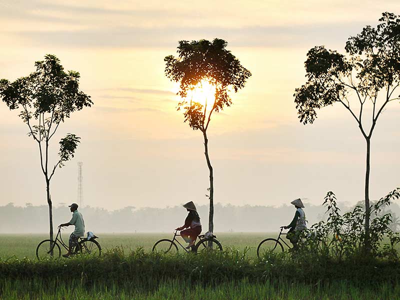 cylcing rice paddies Hoi An, things to do with kids in hoi an, hoi an kids, ride through ride fields, hire bikes