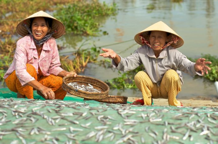 Where to cycle around Hoi An, Cycling in Hoi An - Where to go 